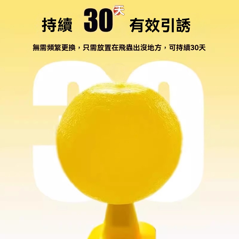 飛蟲剋星粘蟲球